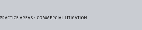 practice areas: commercial litigation