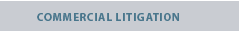 commercial litigation